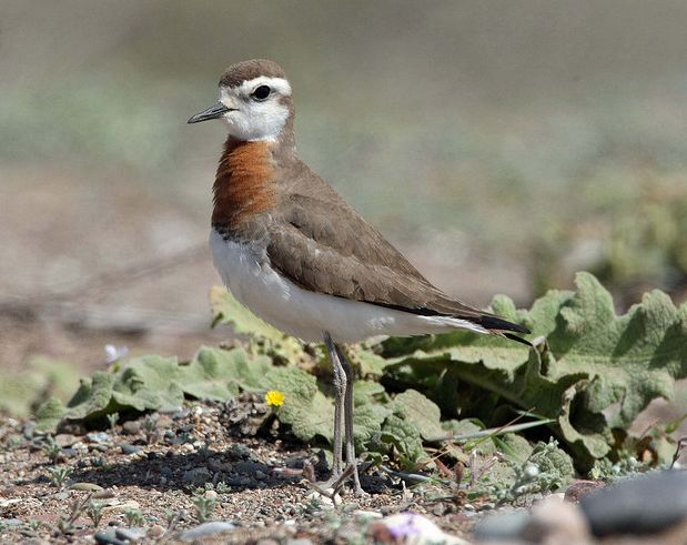 ?A猬癘vJwYK氏n[牴x?認=c?-圭?晿IB撗<'阅?臕?e岠的简单介绍